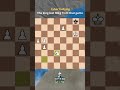 Chess and Cyberbullying together