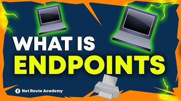 What is Endpoints?