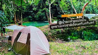 Camping ริมน้ำตกห้วยแม่ขมิ้น อุทยานแห่งชาติเขื่อนศรีนคริทร์ จังหวัดกาญจนบุรี #เที่ยว #เที่ยวไทย