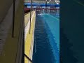 Swimming #swimming