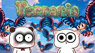 Terraria's Harpy INVASION