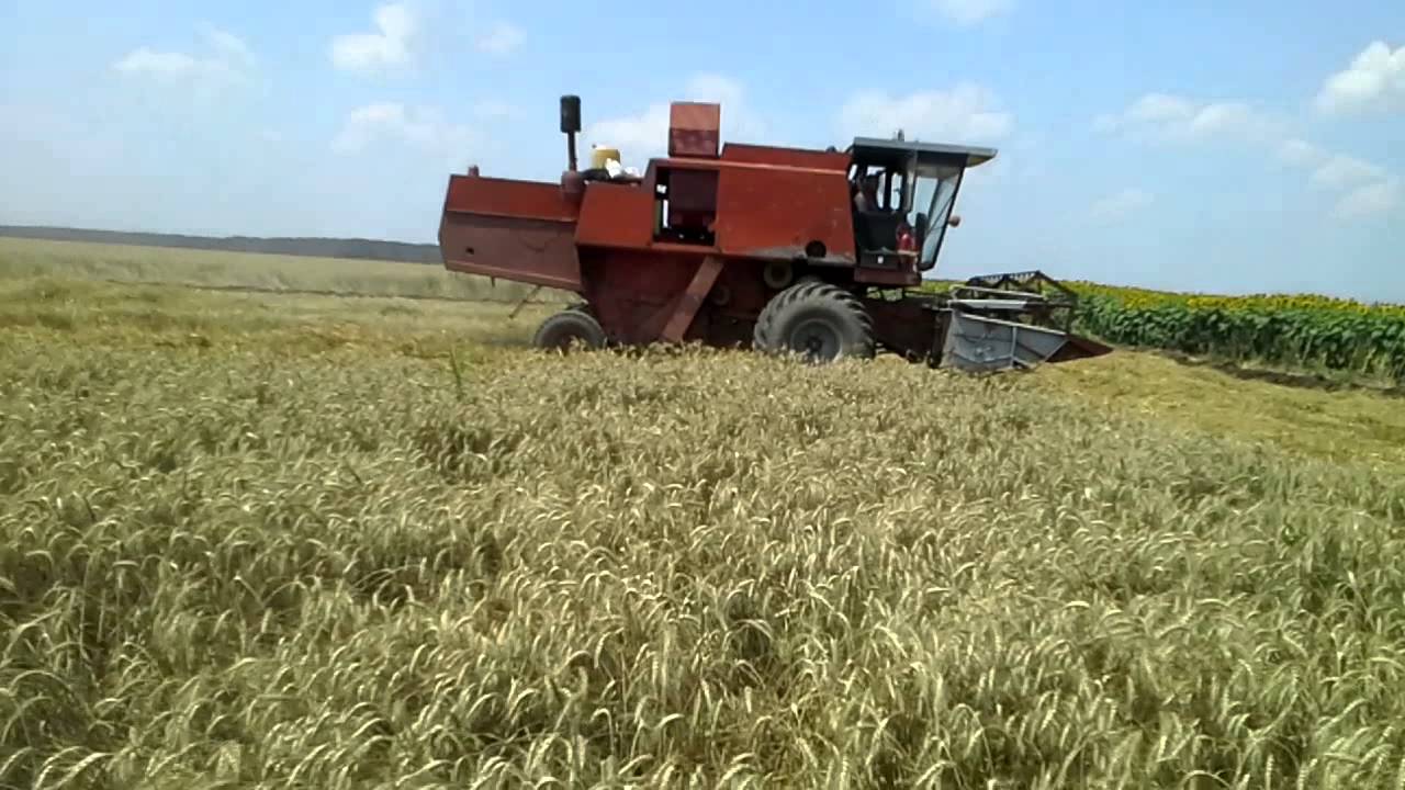 LA treierat 2014 cu c14 original