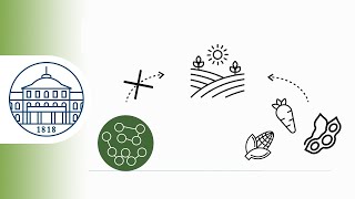 Lignocellulose Explanatory Video Research Program Bioeconomy Bw