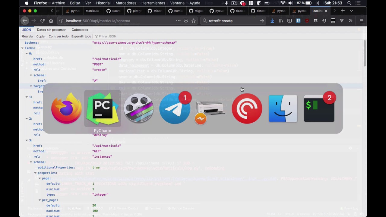 Projecte matricules I - Creació d'un API en Python - YouTube