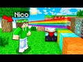 MINECRAFT MA QUELLO CHE GUARDI DIVENTA BLOCCHI CASUALI!