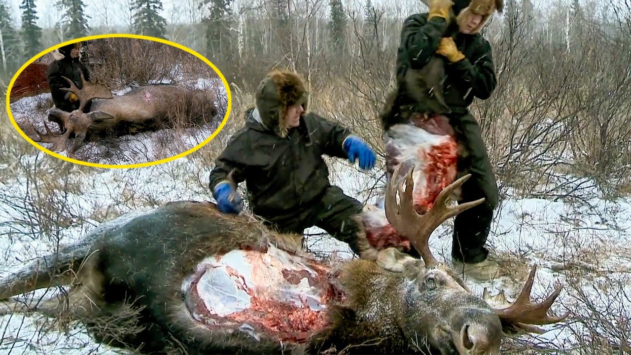 Охотник выслеживал лося в дикой местности в течение 10 дней и преуспел до окончания сезона.