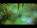 Música relajante sonidos de lluvia y trueno, Música de Piano Tranquila para Relajarse y Meditar (4)