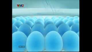 ta giay cat vtv3 screenshot 3