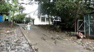 Paia Iguana Race.avi