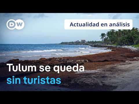 🟣 How crime and bad decisions emptied Tulum, Mexico's tourist paradise