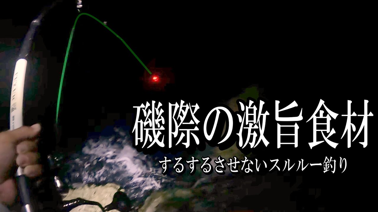 冷凍キビナゴを吊るしてみたら……。電気ウキがバンバン沈んで、強烈なファイトの連続になりました。