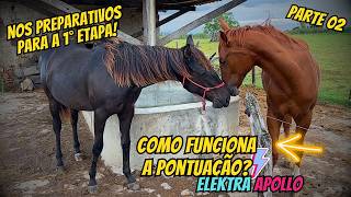 BRUNO ME EXPLICOU TUDO SOBRE O CSV!