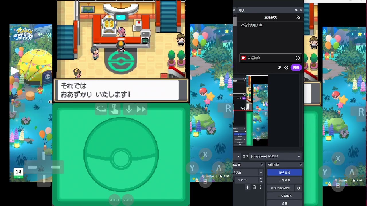 Pokemon HEARTGOLD  11