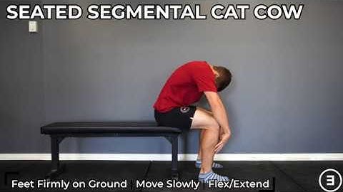 Seated Segmental Cat Cow | Spine Range of Motion | Flexion & Extension