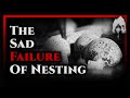 The isle  the sad failure of nesting in evrima