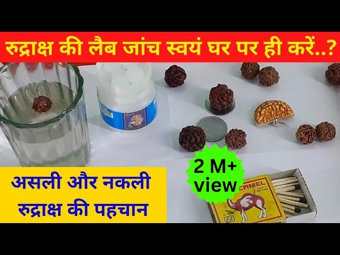 Asalee Rudraaksh Ki Pahachaan Kaise Karen | Rudraksha Lab testing | Rudraksh ke fayde |