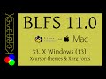 33: X Windows 13: Xcursor-themes & Xorg Fonts - BLFS 11.0 on iMac