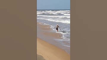 Cách ngư dân bắt Ngao biển