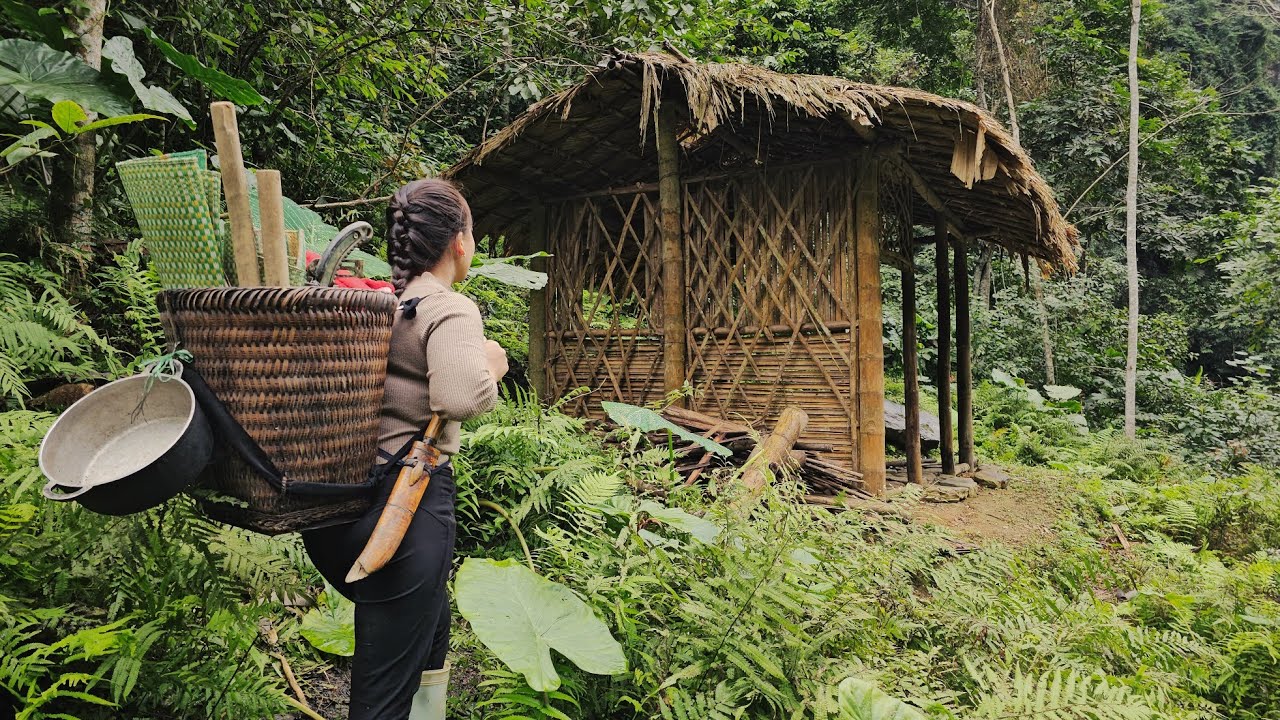 The young girl got lost deep in the green forest and sought refuge in an abandoned house.