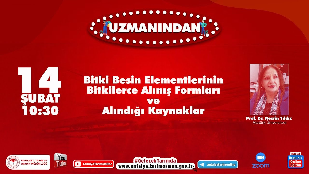 От эксперта: формы потребления питательных веществ растениями и источники питательных веществ для...