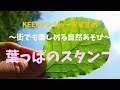 【KEEPレンジャーおすすめ！街でも楽しめる自然あそび】『葉っぱのスタンプ』｜エコ×エネ体験プロジェクト｜自然あそび｜環境教育プログラム｜＃家で一緒にやってみよう｜＃お家で過ごす親子へ