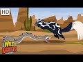 Wildlife Adventure Quiz
