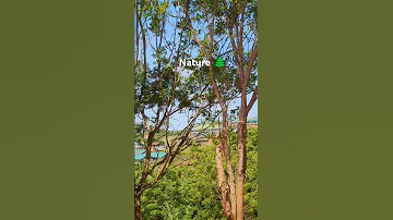 Mbezi Magufuli Tanzania Adventure Africa Travel Love Safari Beach Mikumi Dance Nature 
