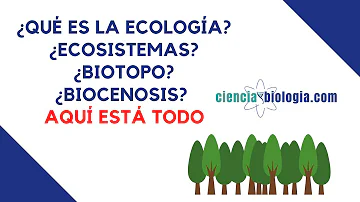 ¿Cuál es el sinónimo de biosfera?