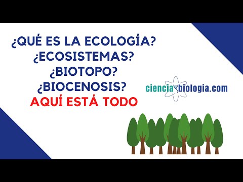 Vídeo: Diferencia Entre Ecología Y Ecosistema