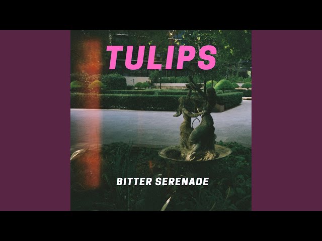 Bitter Serenade