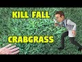 Kill Fall Crabgrass - Lawn Care