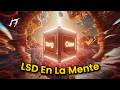 ◉ VOID 303 - LSD En LA Mente ◉