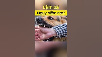 Bệnh dại nguy hiểm như thế nào? #congkienthuc #shorts