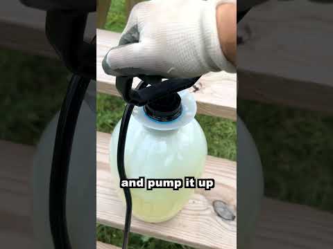 Stain FAST with a pump sprayer (watch for wasps!) #diy #homeimprovment