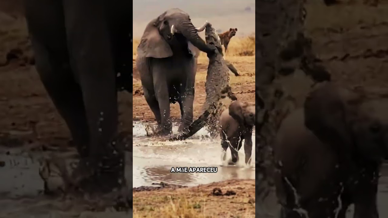 🐾🔥 Animais Que Mexeram Com Quem Não Deviam 🔥🐾  #curiosidades #animals #bizarro