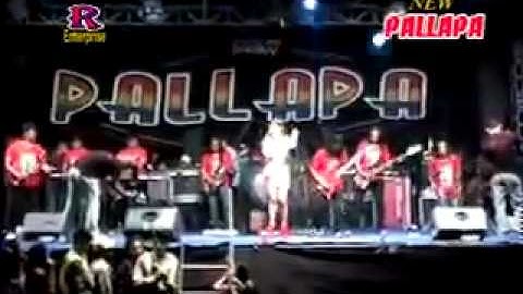 New Pallapa Full Album Terbaru Live 