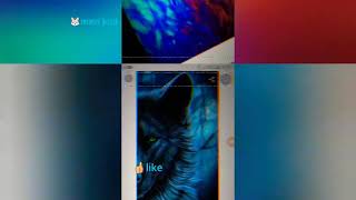 işte kurt duvar kağıdı screenshot 2