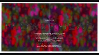 Download Lagu Datacide - Flowerhead (Full Album) MP3