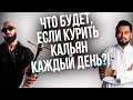 HT №270. Как часто можно курить кальян?! | Ответ в фактах и цифрах | Курение без вреда для здоровья