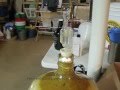 Capture de la vidéo Dead Ringer Ipa - Fermentation & Krausen In Airlock