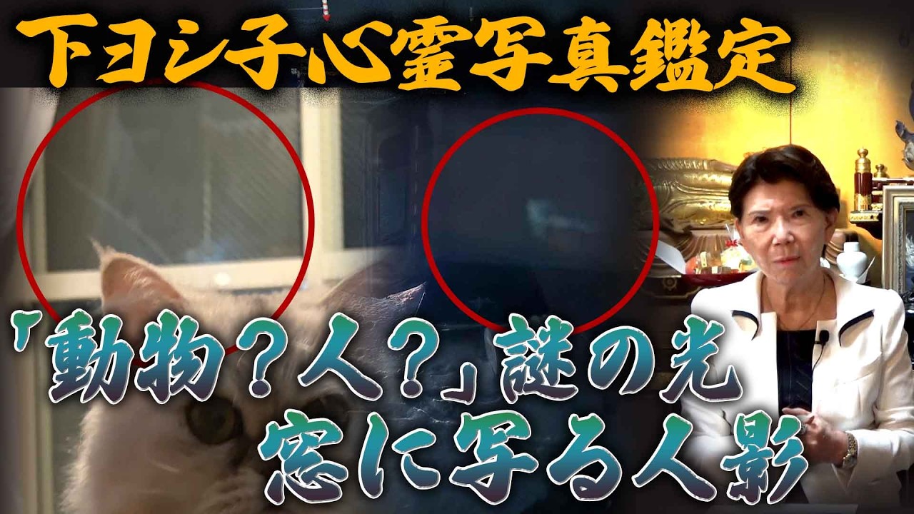 【下ヨシ子心霊写真鑑定】「動物?人?」事故現場に浮かぶ謎の光・窓に写る人影