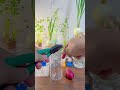 DIY Water Propagation: How to Grow Sweet Potatoes at Home.#diy #hydroponics #recycling #gradening