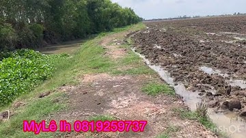 Cần bán nhanh DT 3 mẫu 2 Giá 100 triệu 1 công thuộc huyện mộc hóa tỉnh Long An