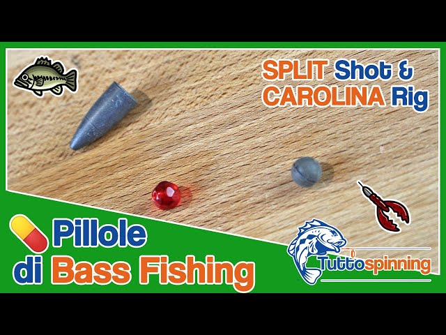 SPLIT SHOT e CAROLINA RIG 💊 Pillole di Bass Fishing 