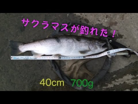 釣り人達(相模川) sddefault.jpg