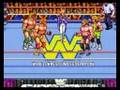 Wwf Hulk Hogan And Ultimate Warrior Vs Mr Perfect And Million Dollar Man 