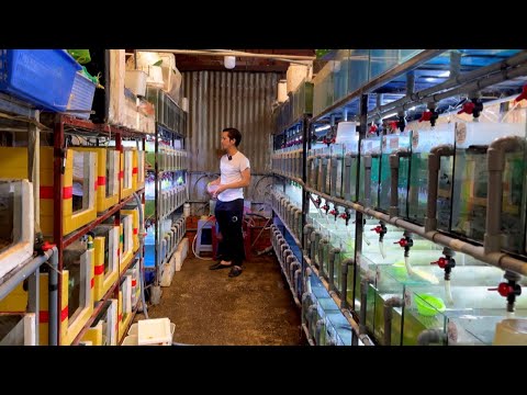 Video Anh Nhân Viên Văn Phòng Đút Túi 20 Triệu/ Tháng Nhờ... - youtube