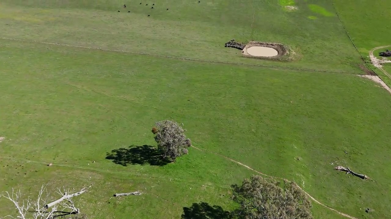 farm 2025 08 04