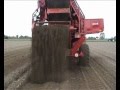 Dewulf RDT Superia - 2-row trailed potato harvester