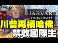 電力不足與台電檢討